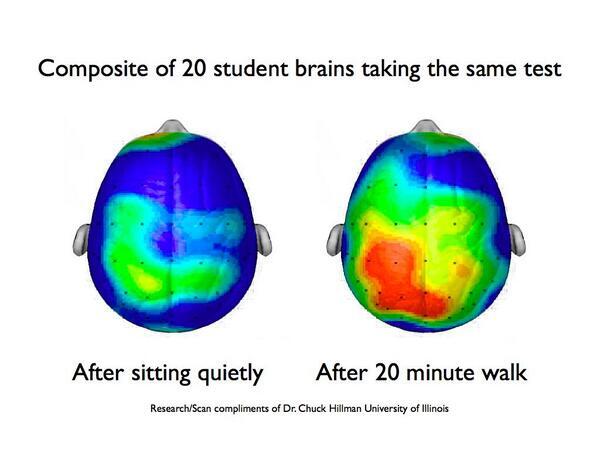 brain activity when active